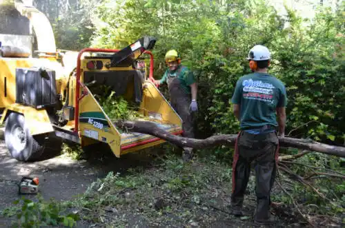 tree services Fairmount